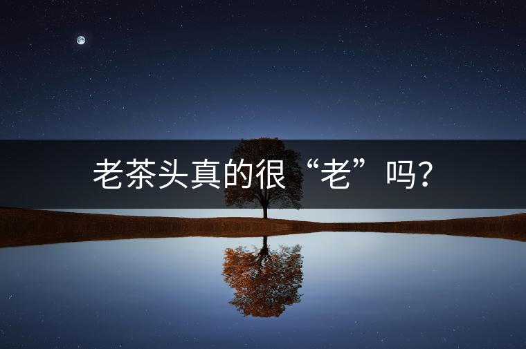 老茶頭真的很“老”嗎？