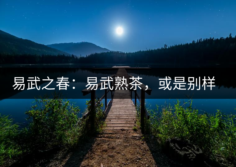 易武之春：易武熟茶，或是別樣風(fēng)采丨賞鑒