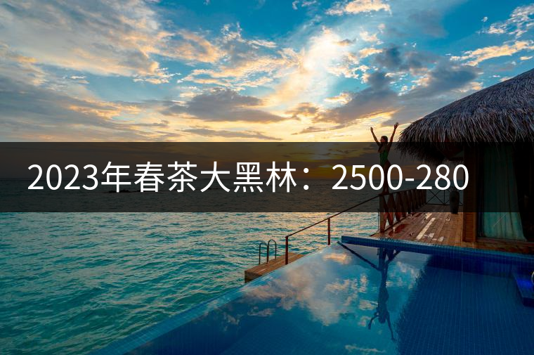 2023年春茶大黑林:2500-2800元/公斤 2023年春茶大黑林:2500-2800元/公斤