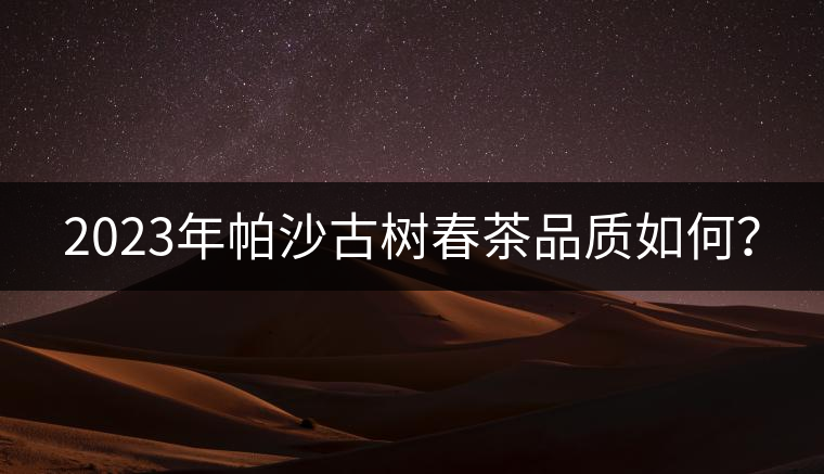2023年帕沙古樹春茶品質(zhì)如何？