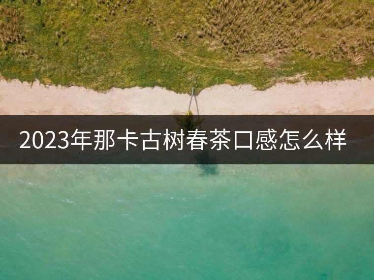 2023年那卡古樹春茶口感怎么樣？