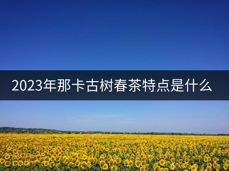 2023年那卡古樹春茶特點是什么？