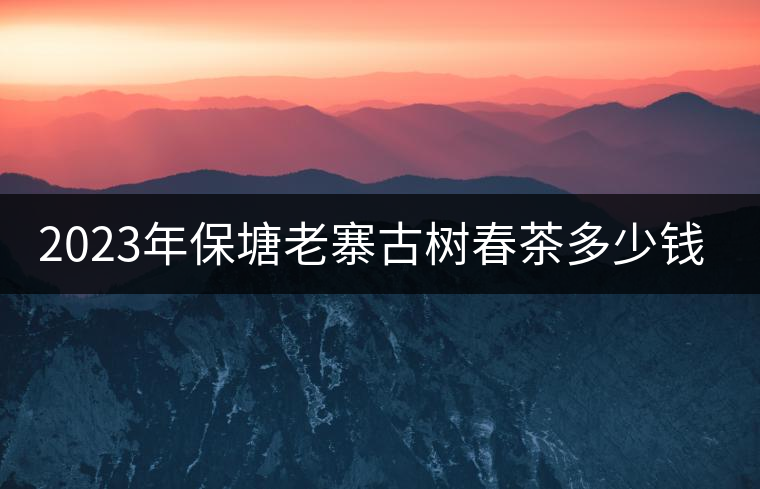 2023年保塘老寨古樹春茶多少錢一公斤？
