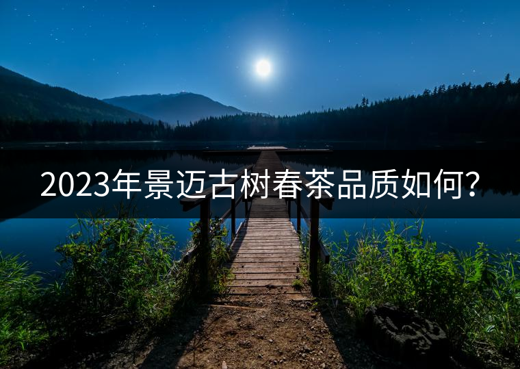 2023年景邁古樹春茶品質(zhì)如何？