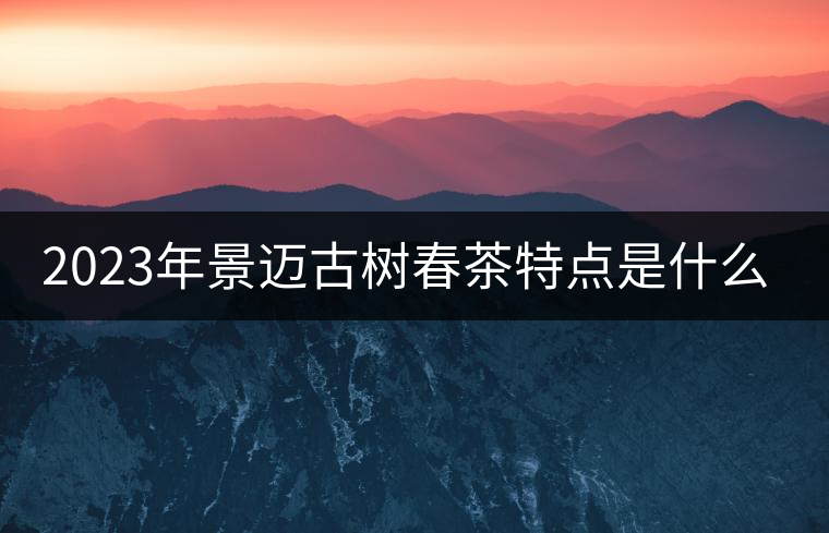 2023年景邁古樹春茶特點是什么？