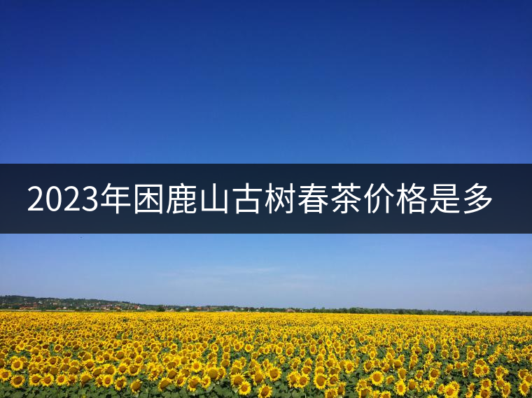 2023年困鹿山古樹春茶價(jià)格是多少？