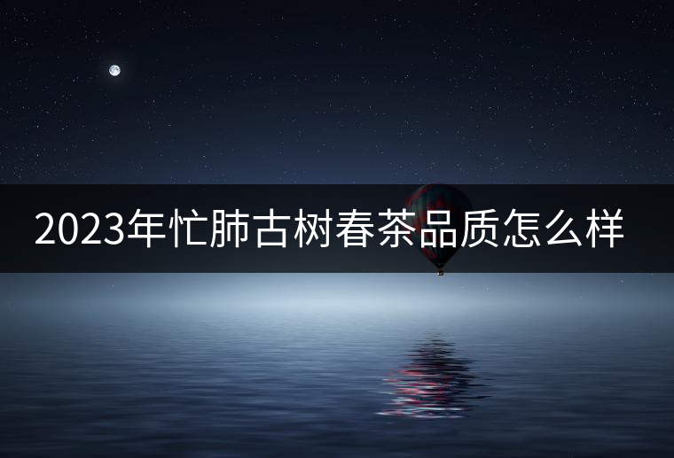 2023年忙肺古樹春茶品質(zhì)怎么樣？