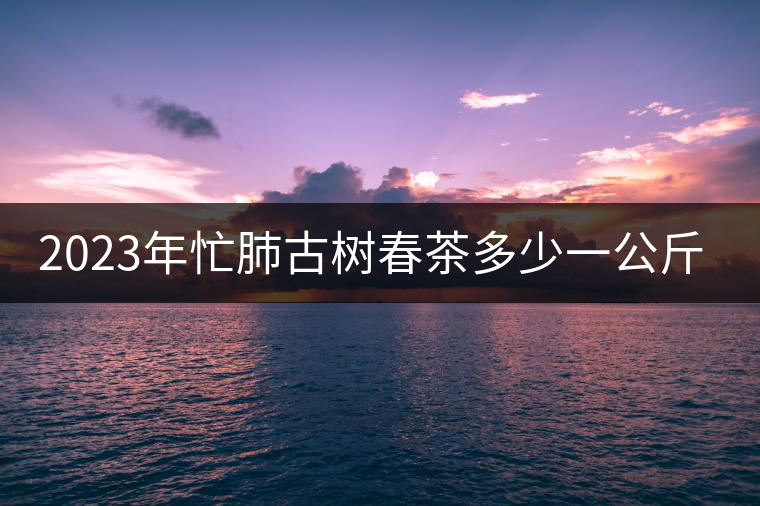 2023年忙肺古樹春茶多少一公斤？