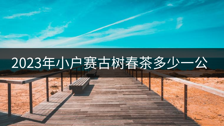 2023年小戶賽古樹春茶多少一公斤？