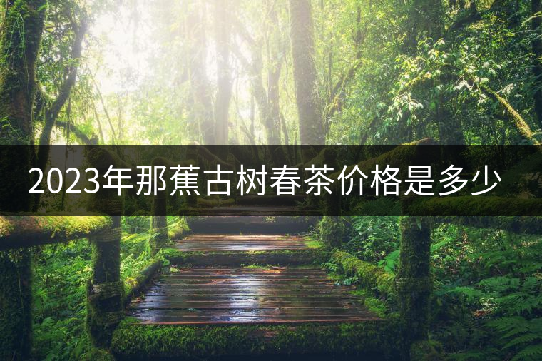 2023年那蕉古樹春茶價(jià)格是多少?