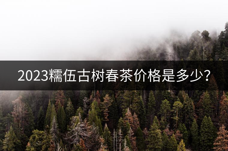 2023糯伍古樹春茶價格是多少？