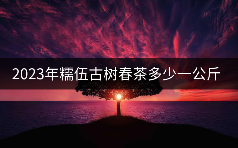 2023年糯伍古樹(shù)春茶多少一公斤？