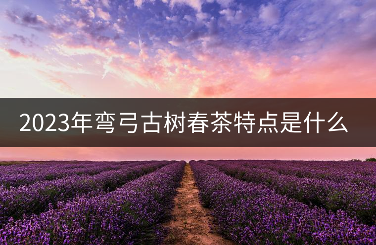 2023年彎弓古樹(shù)春茶特點(diǎn)是什么？