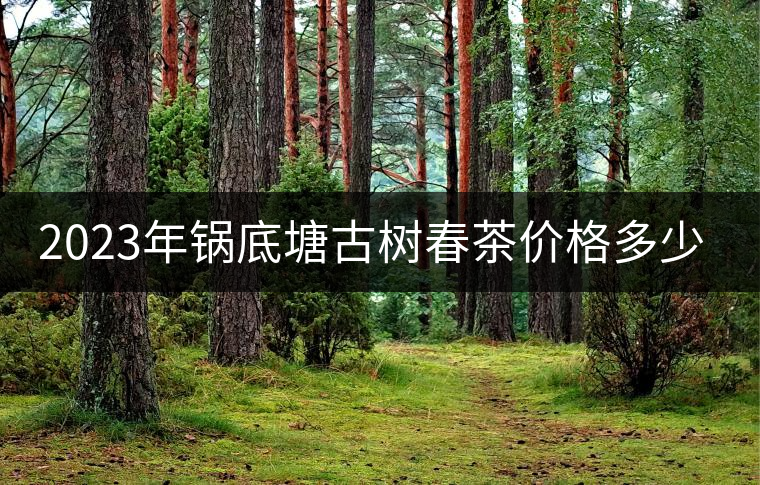 2023年鍋底塘古樹(shù)春茶價(jià)格多少？