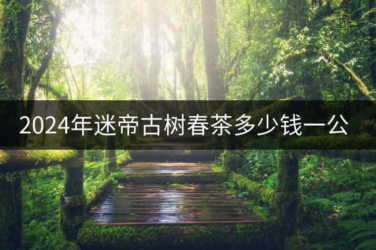2024年迷帝古樹春茶多少錢一公斤？