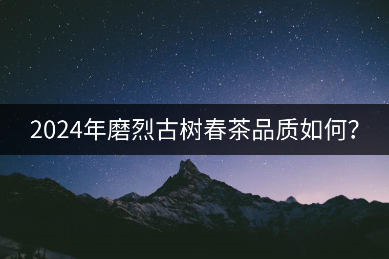 2024年磨烈古樹(shù)春茶品質(zhì)如何？