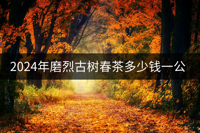 2024年磨烈古樹春茶多少錢一公斤？