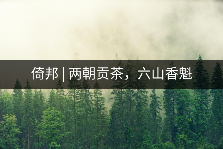 倚邦 | 兩朝貢茶，六山香魁