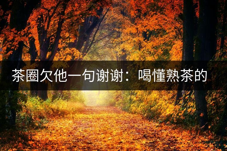 茶圈欠他一句謝謝：喝懂熟茶的人，都該記住陳佩仁這個(gè)名字