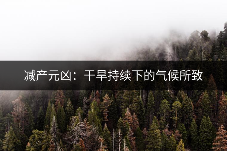 減產元兇：干旱持續(xù)下的氣候所致