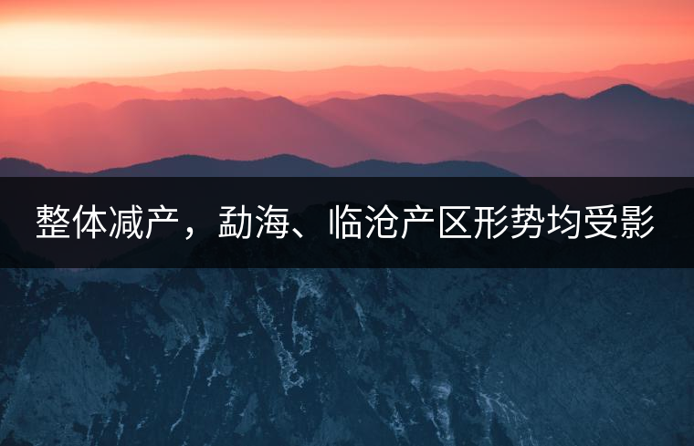 整體減產，勐海、臨滄產區(qū)形勢均受影響