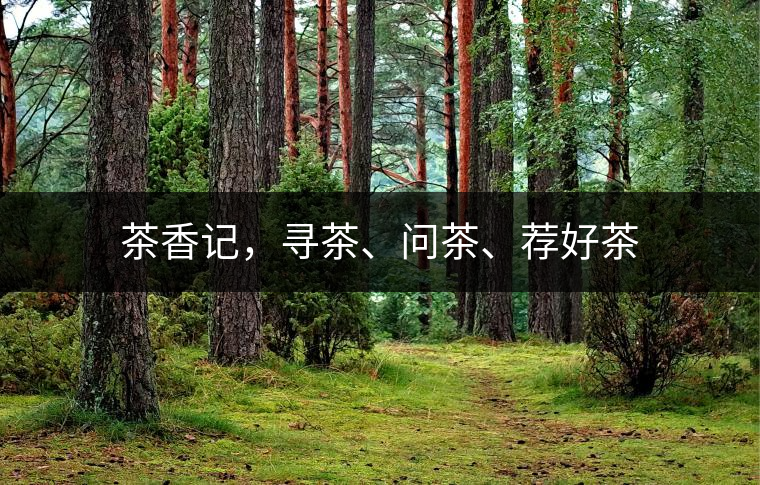 茶香記，尋茶、問(wèn)茶、薦好茶