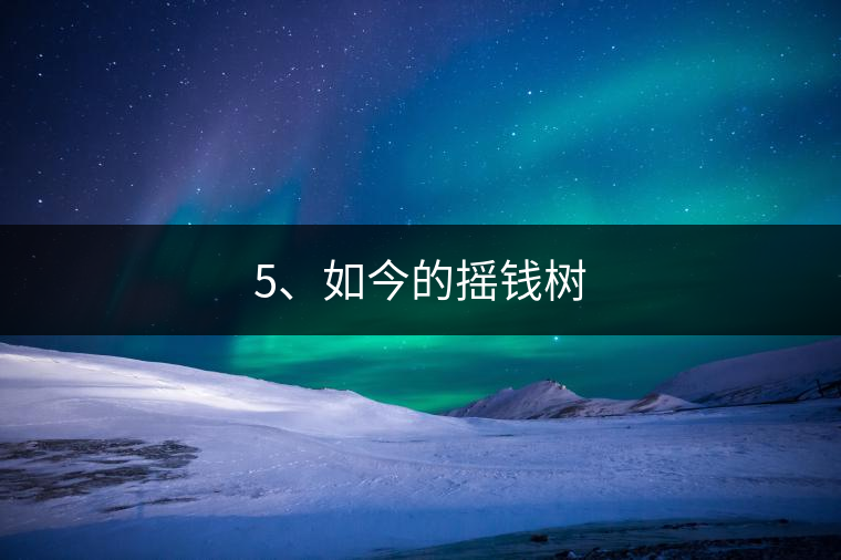 5、如今的搖錢樹