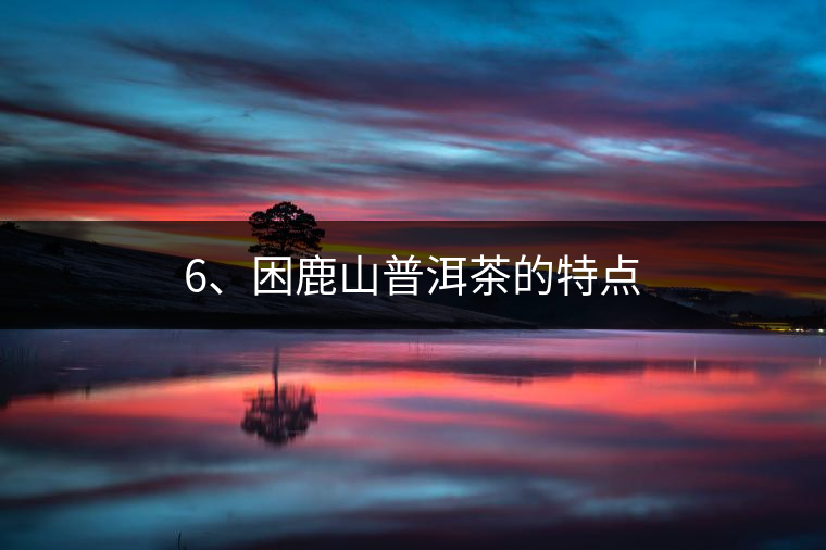 6、困鹿山普洱茶的特點(diǎn)