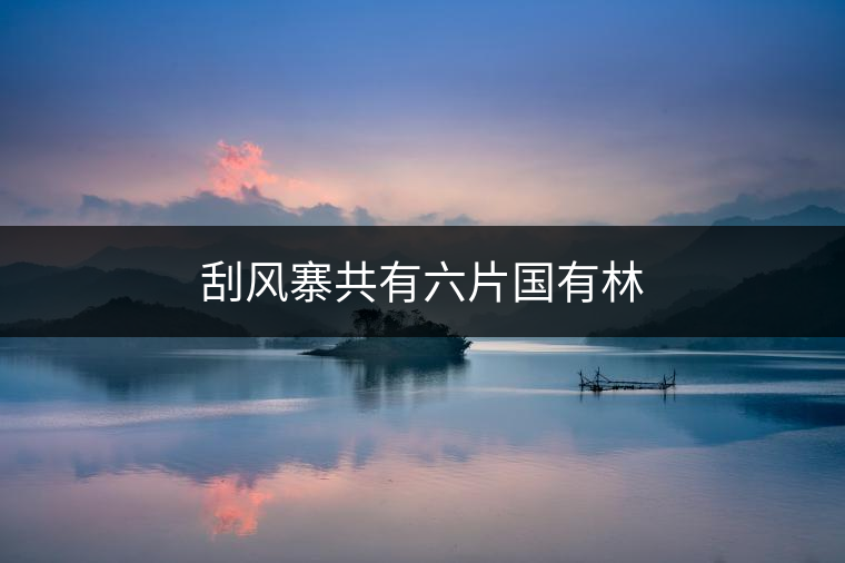 刮風(fēng)寨共有六片國有林