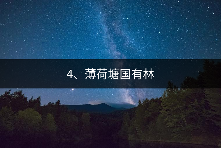 4、薄荷塘國有林