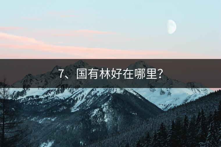 7、國有林好在哪里？