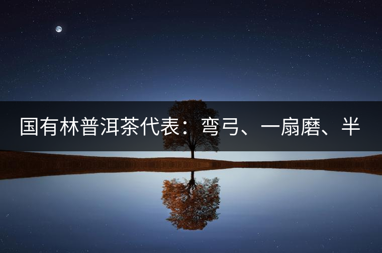 國有林普洱茶代表：彎弓、一扇磨、半坡老寨