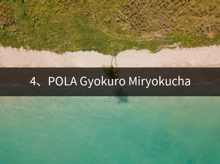 4、POLA Gyokuro Miryokucha