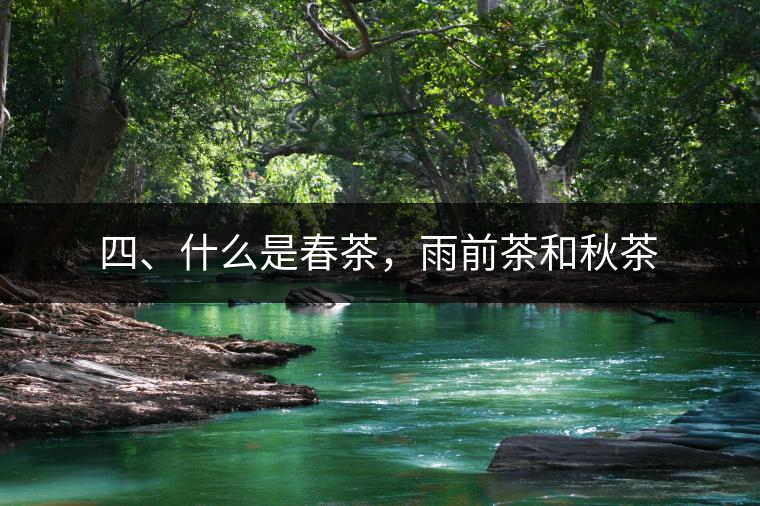 四、什么是春茶，雨前茶和秋茶