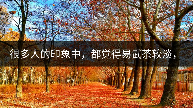 很多人的印象中，都覺得易武茶較淡，但存放幾年后，再喝又覺得茶味茶氣變濃了。我們就這個問題，考察了易武古茶山，和走訪了當?shù)夭柁r(nóng)。我們發(fā)現(xiàn)這跟易武古樹茶的茶質(zhì)和茶農(nóng)制茶的傳統(tǒng)工藝有關(guān)。