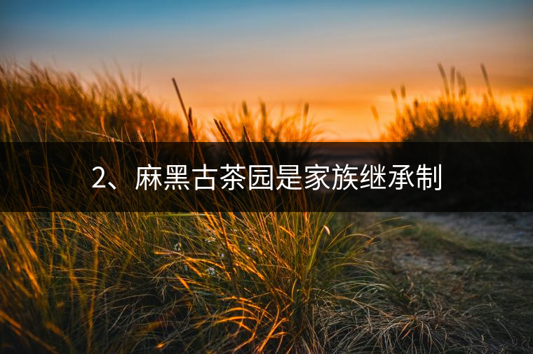 2、麻黑古茶園是家族繼承制
