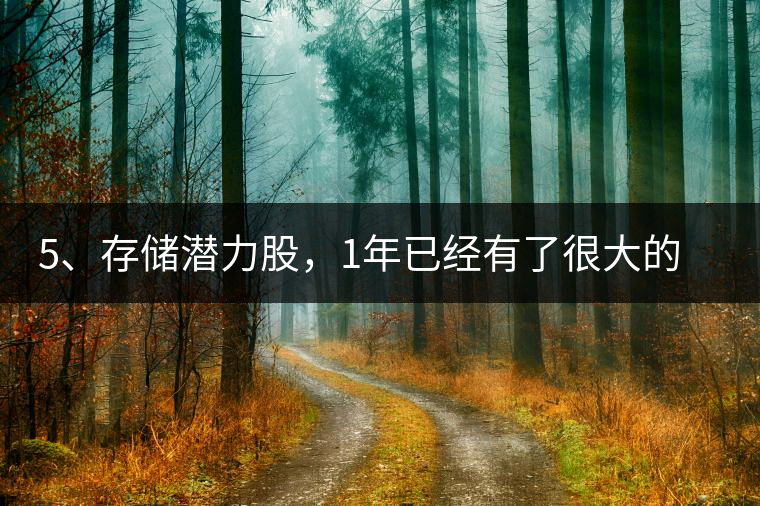 5、存儲(chǔ)潛力股，1年已經(jīng)有了很大的變化