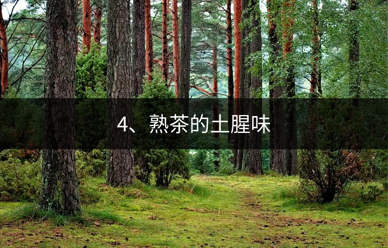 4、熟茶的土腥味