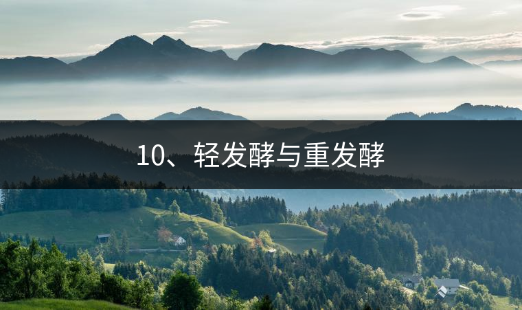 10、輕發(fā)酵與重發(fā)酵
