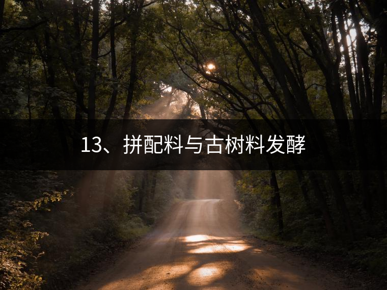 13、拼配料與古樹料發(fā)酵