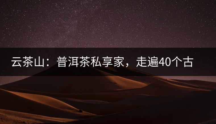 云茶山：普洱茶私享家，走遍40個古寨，24小時提供專家評分與產地茶農一手報價