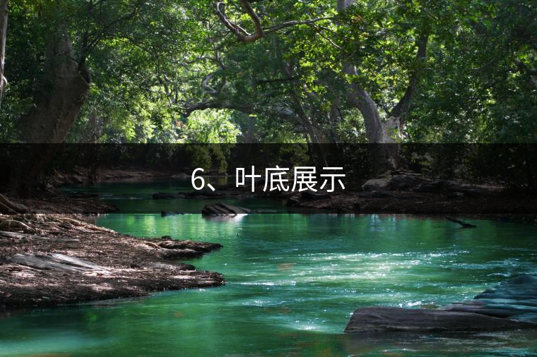 6、葉底展示