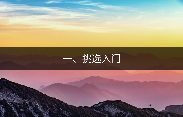 一、挑選入門(mén)
