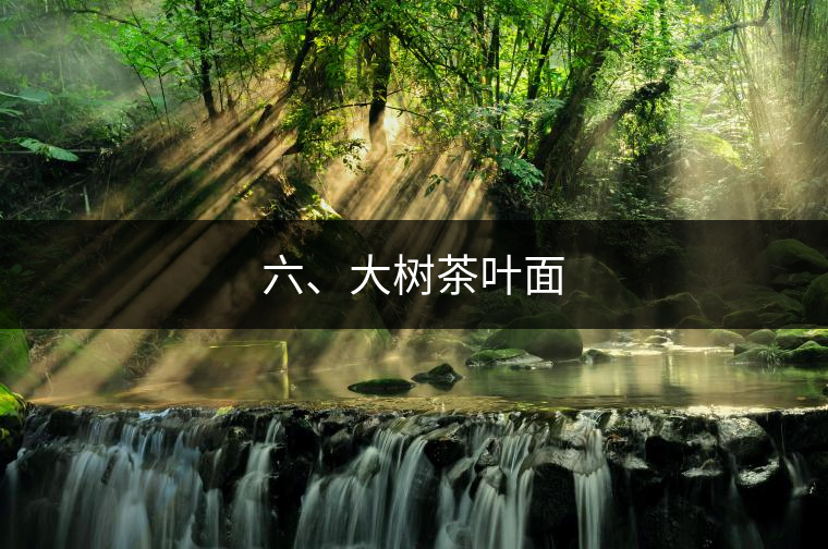 六、大樹(shù)茶葉面