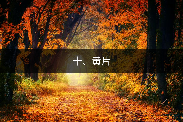 十、黃片