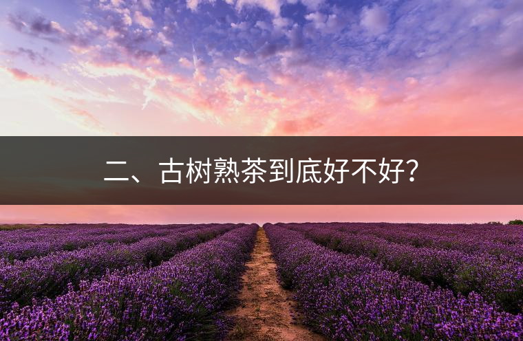 二、古樹熟茶到底好不好？