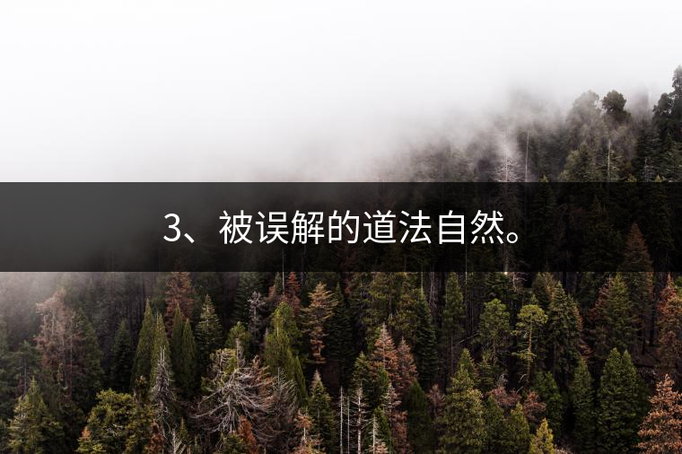 3、被誤解的道法自然。