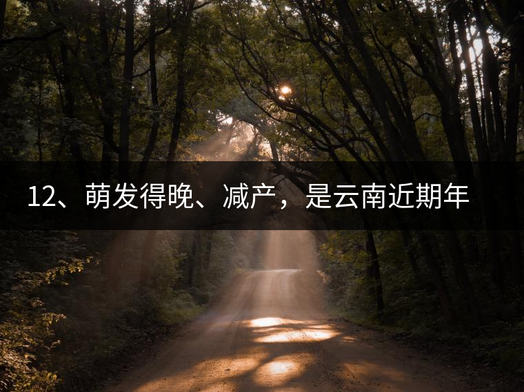 12、萌發(fā)得晚、減產(chǎn)，是云南近期年氣候變化在茶樹上的延遲反映。