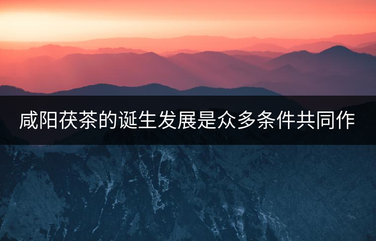 咸陽(yáng)茯茶的誕生發(fā)展是眾多條件共同作用的結(jié)果。