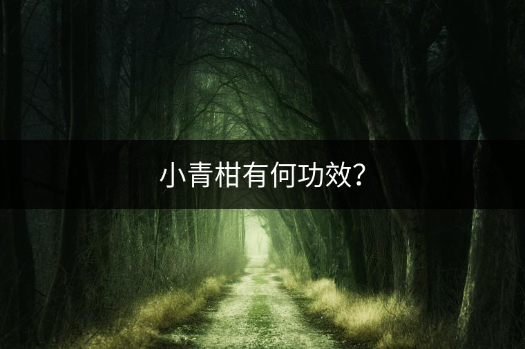小青柑有何功效？